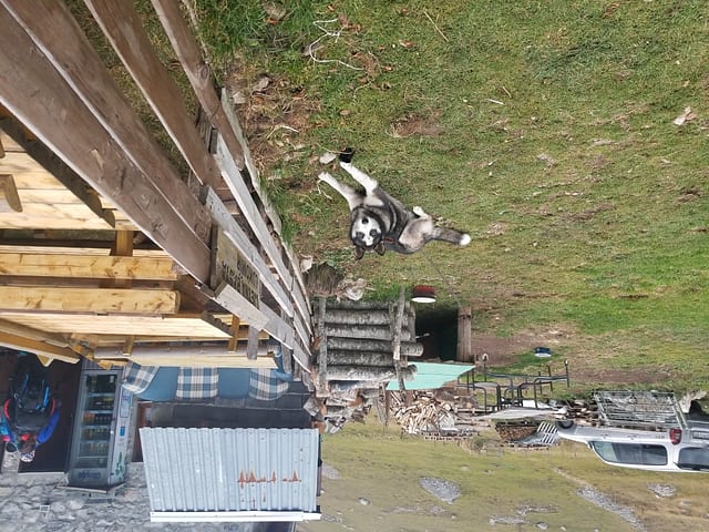 Lukomir — Bosnia's Last Mountain Village — photo 94