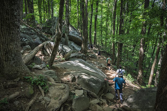 Mt. Yonah — photo 1